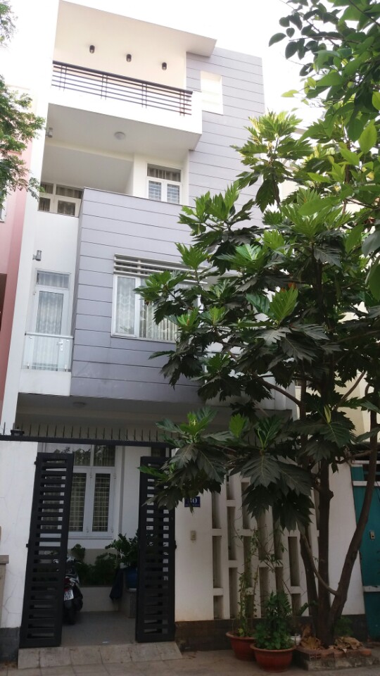 Dich vụ cho thuê BĐS